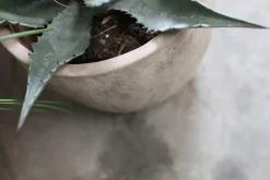 Garden Planters^Nkuku Affiti Clay Planter - Medium