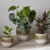 Indoor Planters^Nkuku Almeida Reactive Glaze Plant Pot - Olive & Natural