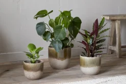 Indoor Planters^Nkuku Almeida Reactive Glaze Plant Pot - Olive & Natural