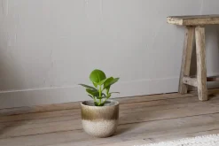 Indoor Planters^Nkuku Almeida Reactive Glaze Plant Pot - Olive & Natural