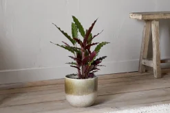 Indoor Planters^Nkuku Almeida Reactive Glaze Plant Pot - Olive & Natural