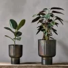 Decorative Home Accessories|Indoor Planters^Nkuku Dasalla Planter - Aged Brass