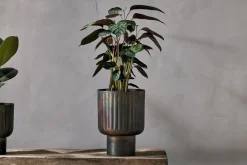 Decorative Home Accessories|Indoor Planters^Nkuku Dasalla Planter - Aged Brass