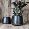 Indoor Planters|Garden Planters^Nkuku Endo Reclaimed Iron Planter