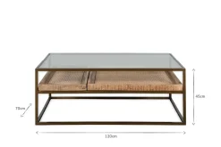 Coffee Tables|Living^Nkuku Luzon Iron & Mango Wood Display Coffee Table - Brass