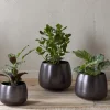 Indoor Planters^Nkuku Maliki Plant Pot - Aged Bronze