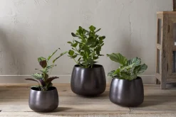 Indoor Planters^Nkuku Maliki Plant Pot - Aged Bronze