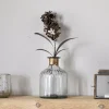 Ornaments^Nkuku Svara Stem Hyacinth - Antique Brass
