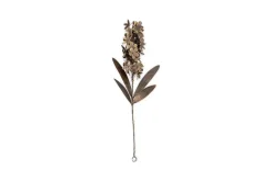 Ornaments^Nkuku Svara Stem Hyacinth - Antique Brass