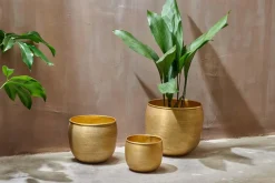 Decorative Home Accessories|Garden Planters^Nkuku Tembesi Etched Planter - Antique Brass