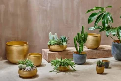 Decorative Home Accessories|Garden Planters^Nkuku Tembesi Etched Planter - Antique Brass